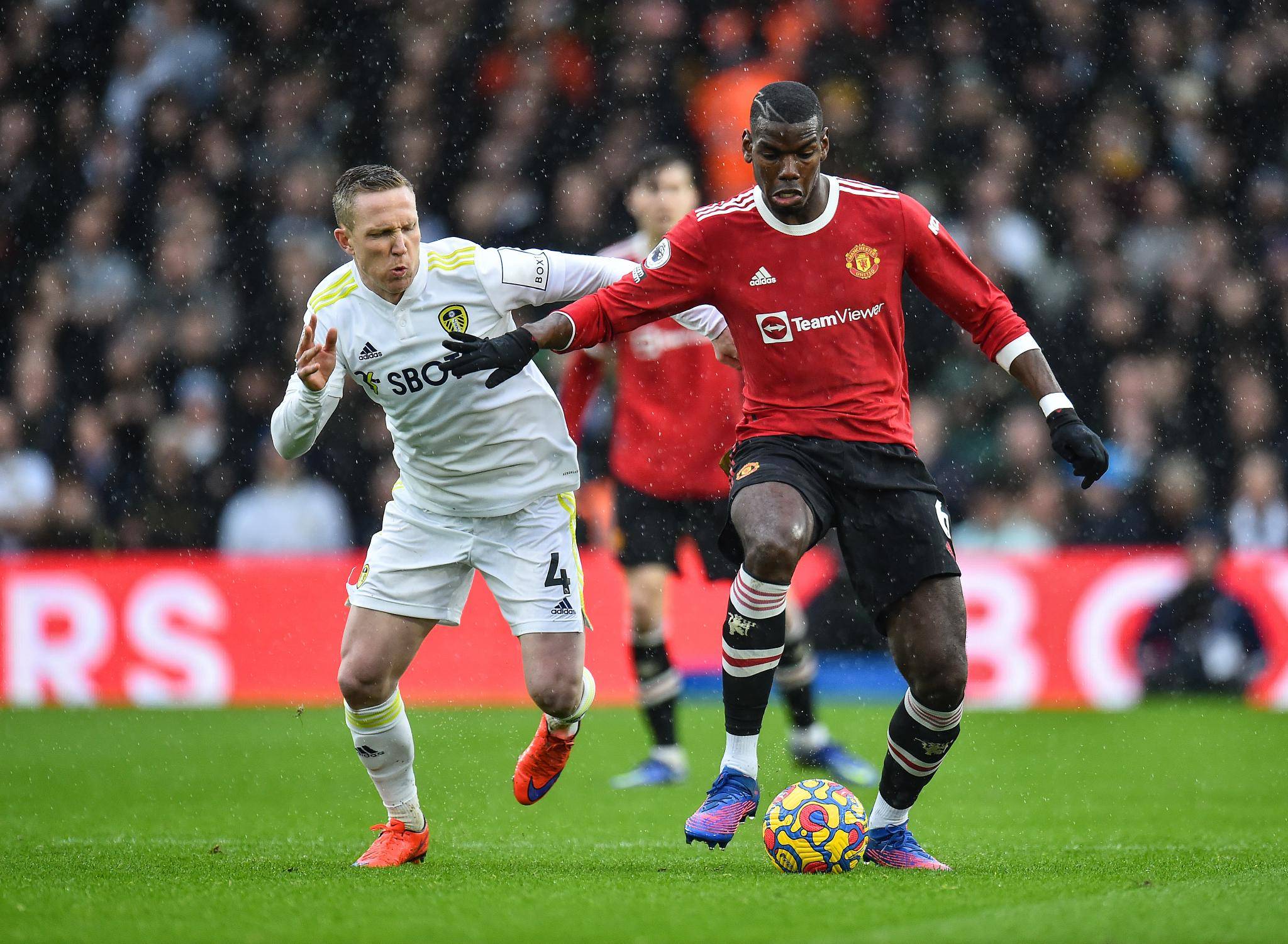 针对张子宇？日本女篮亚洲杯12人：核心内线回归 平均身高1米8创新高