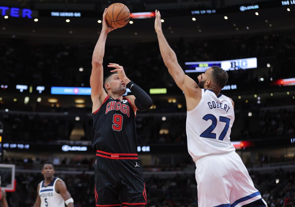 期待看到马 期待看到马